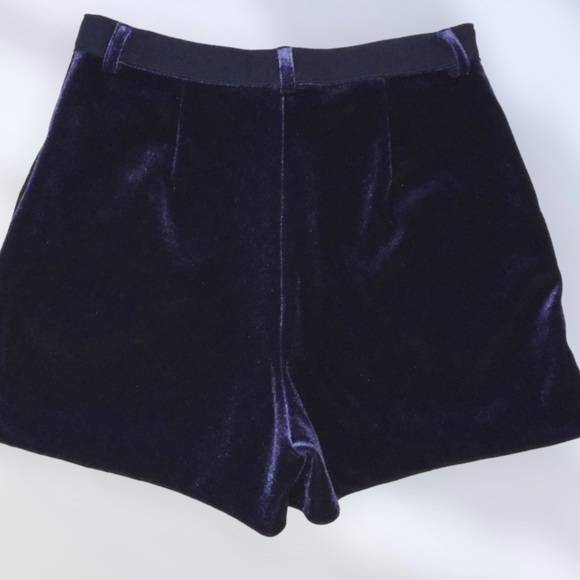 LC Lauren Conrad Runway Velvet Short Size 4 - Picture 4 of 6